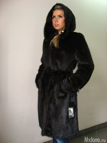 �������� ����