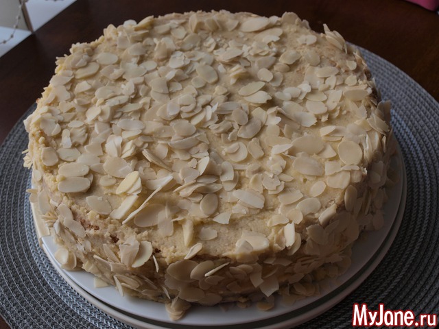 ��� �����