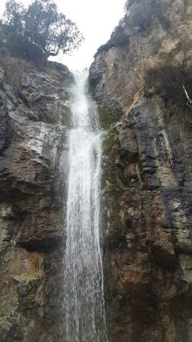 ������� ��������