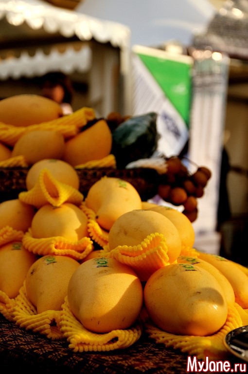 ��� ������� ���