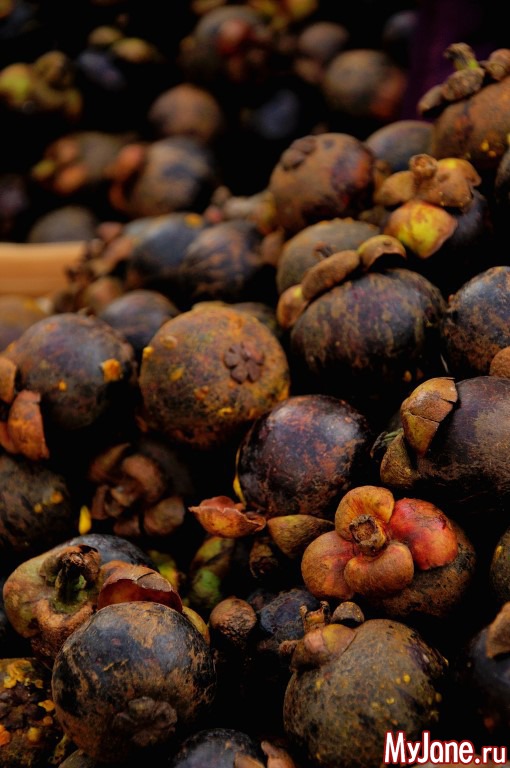 ��� ������� ���