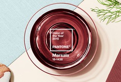 ������� ���� 2015 ���� � ����-�������