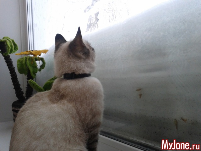 ���� ����.