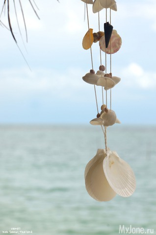 ������ �����