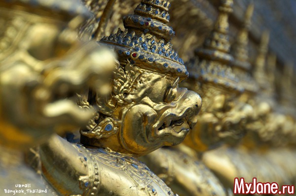 �������, �������