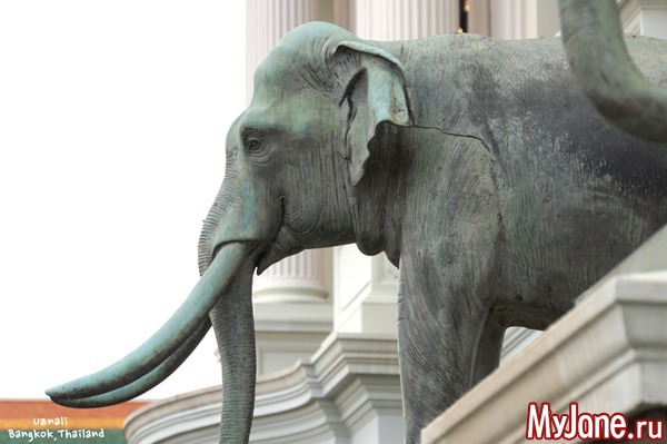 �������, �������