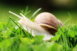 ������ ������� ������ ������� �������, ��� ��� �������