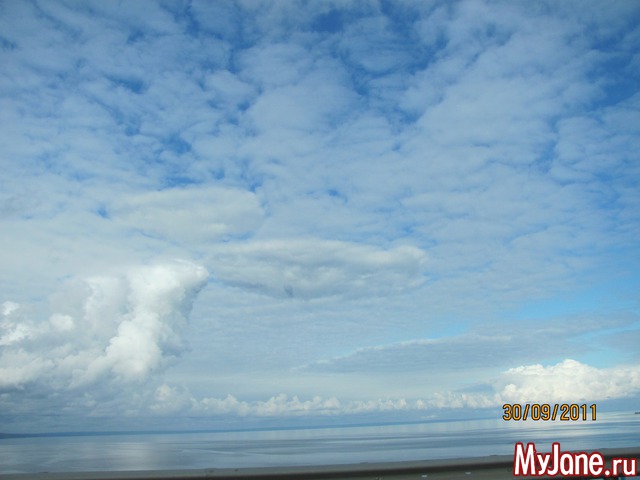 ������ ��������