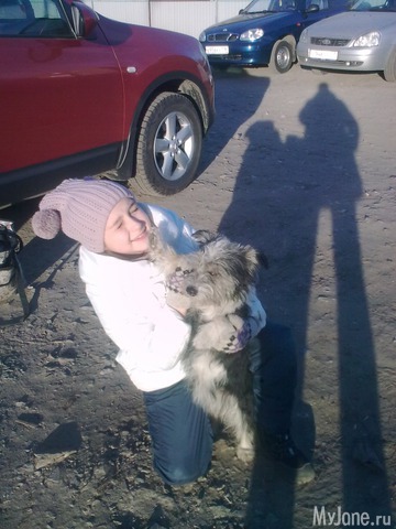 ������ ��������