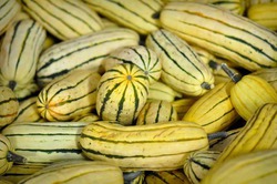 ��������� �������������� ����� �����