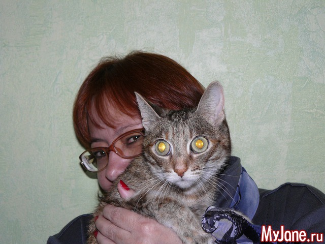 �������� ���������