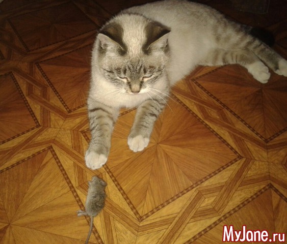 ���� ����.