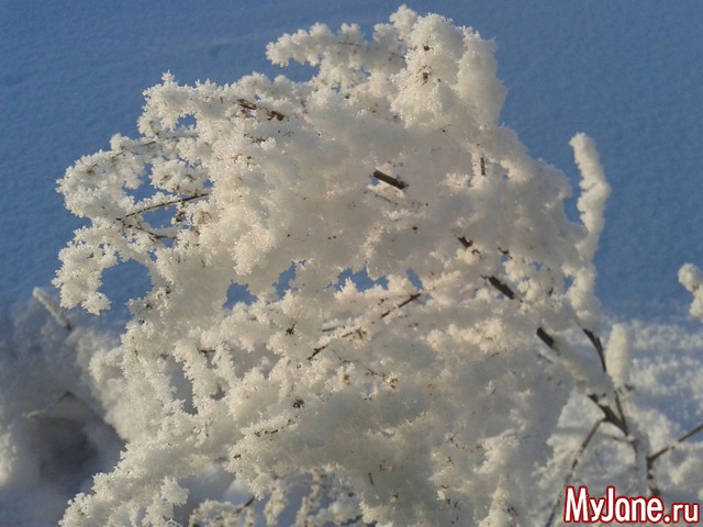 �����-��� ���� ������