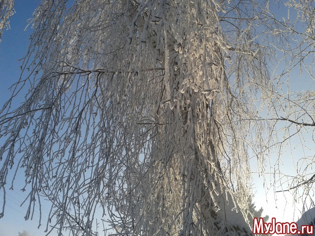 �����-��� ���� ������