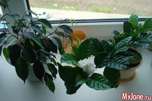 �������-�������