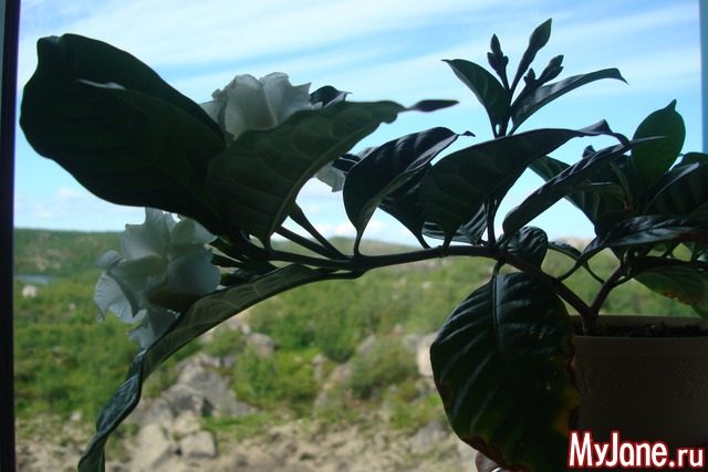 �������-�������