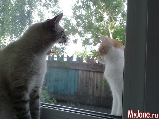 ���� ����.