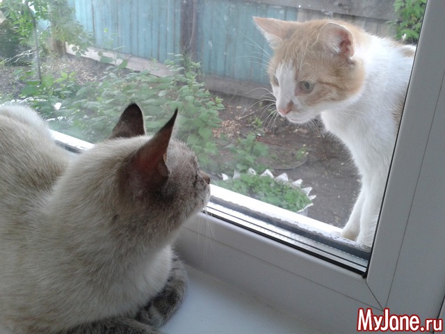 ���� ����.