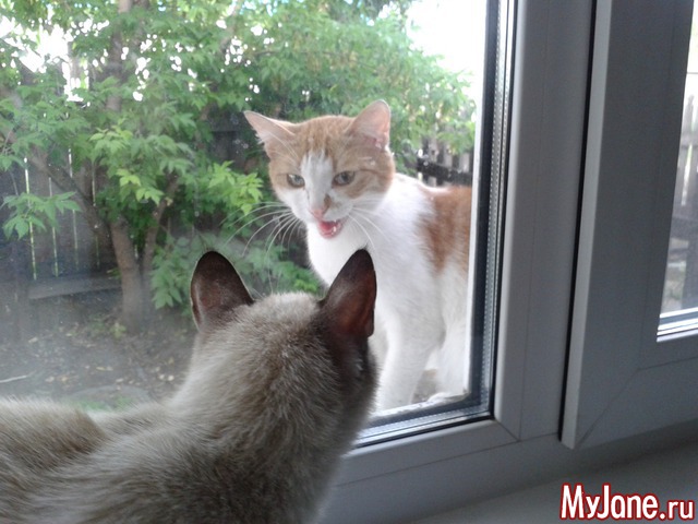 ���� ����.