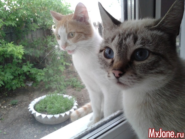 ���� ����.