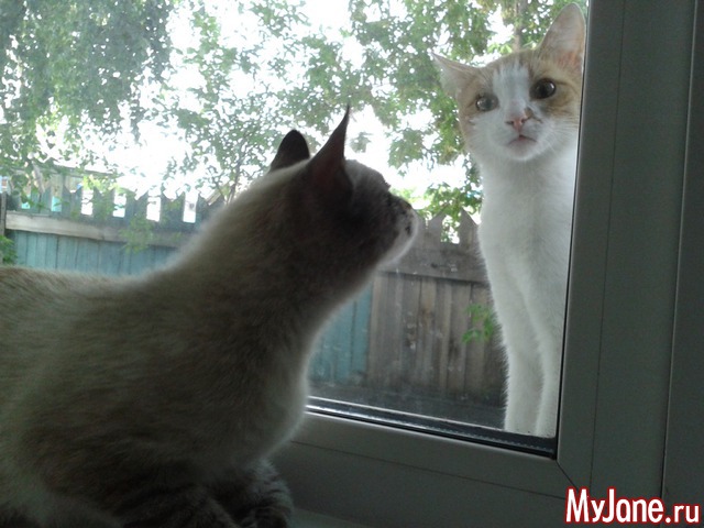 ���� ����.