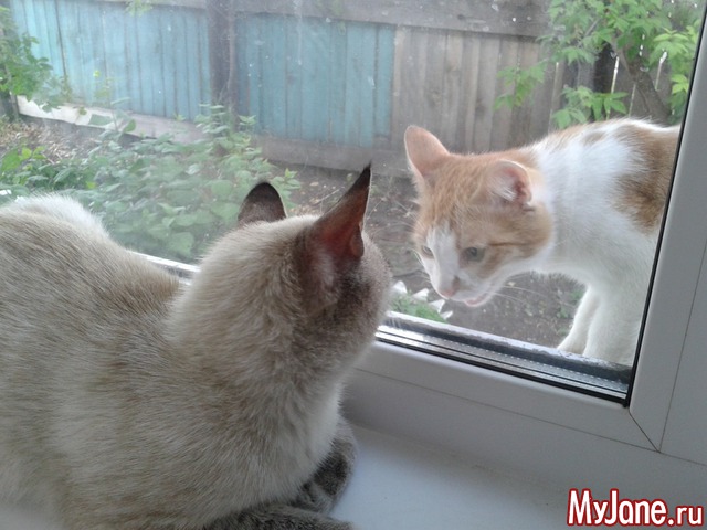 ���� ����.