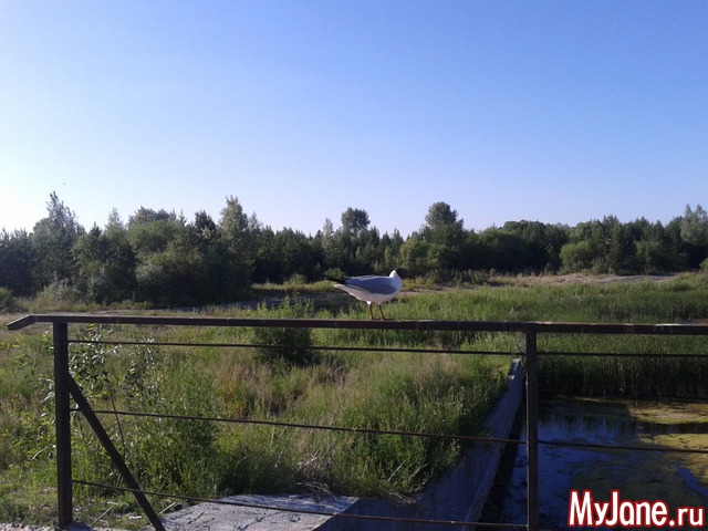 �������