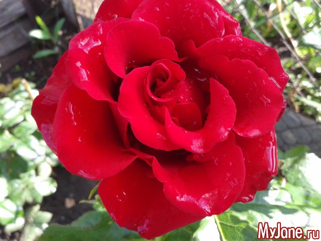 �������