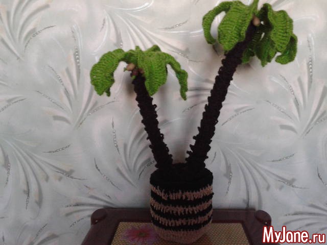 �� �������