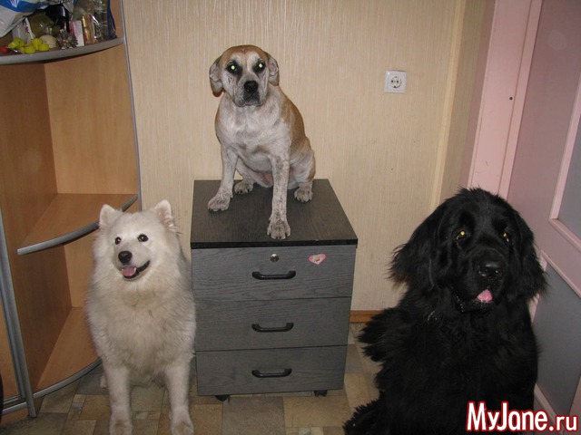 �������!!!