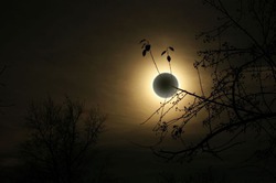 Еженедельный любовный гороскоп с 07.07 по 13.07
