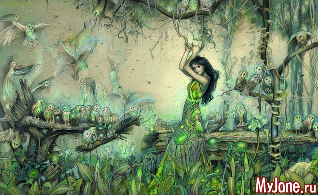 �������