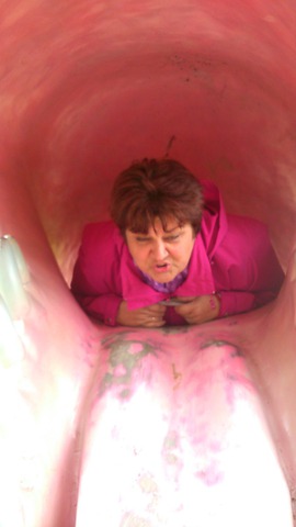 � � ����� �������