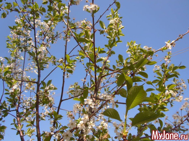 �����-2014