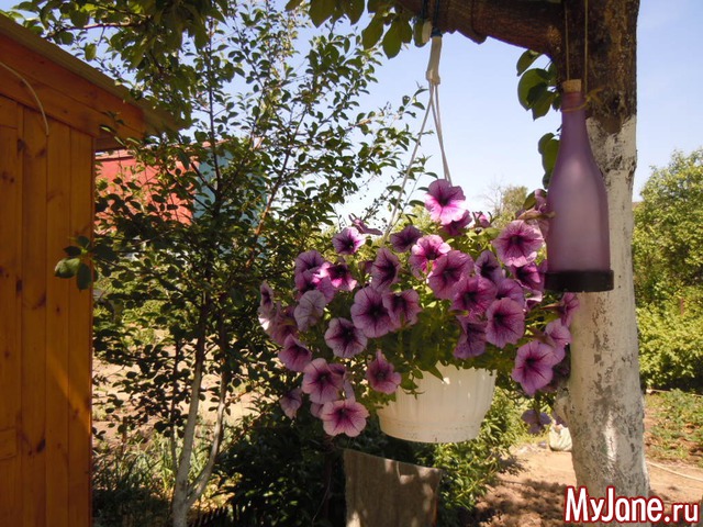 �����-2014