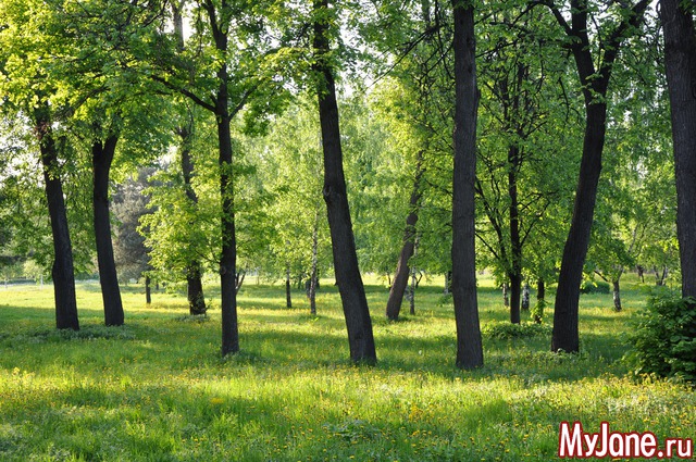 ������� ������� tanushaphoto  :)