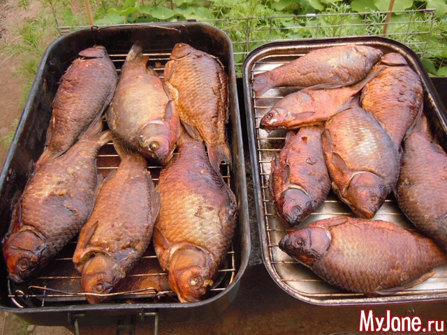 �����-2014