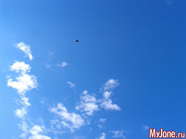 �����-��� ���� ������