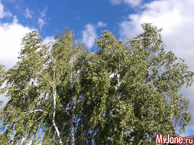 �����-��� ���� ������