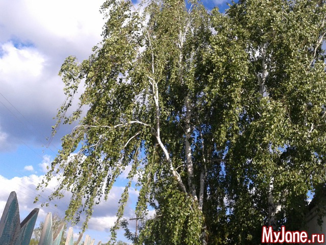 �����-��� ���� ������