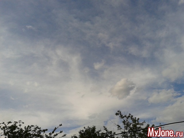 �����-��� ���� ������