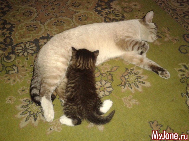 ���� ����.