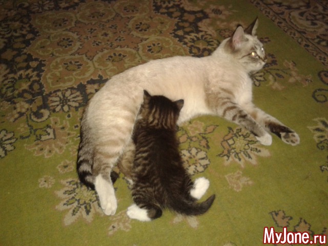 ���� ����.