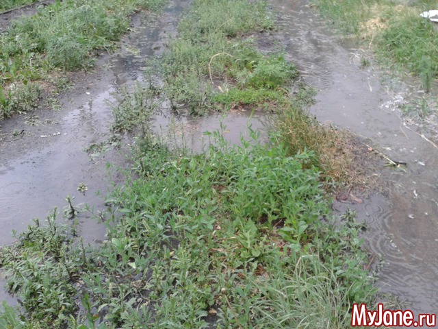 �����-��� ���� ������