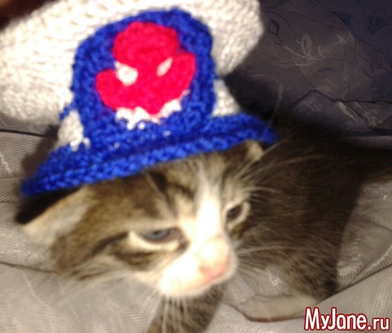 ������� ������