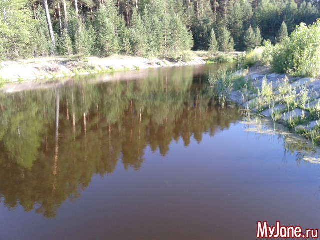 �����-��� ���� ������