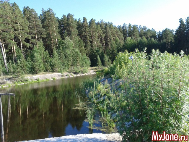 �����-��� ���� ������