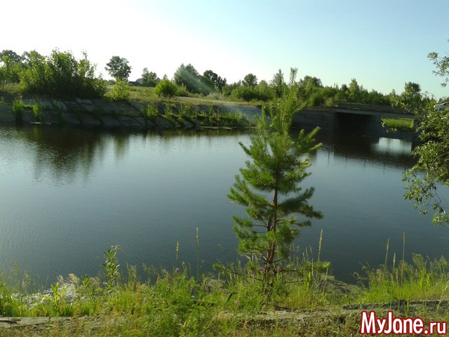 �����-��� ���� ������