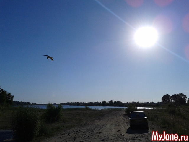 �����-��� ���� ������