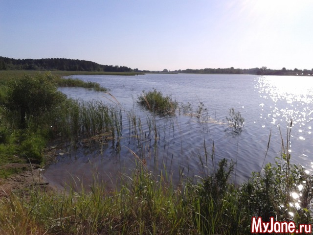 �����-��� ���� ������